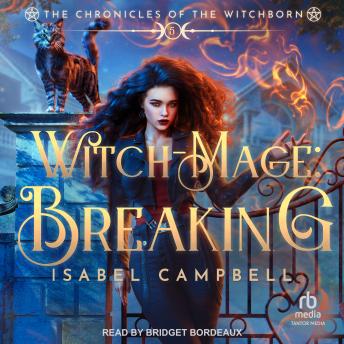 The Witch-Mage: Breaking