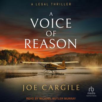 A Voice of Reason: A Legal Thriller