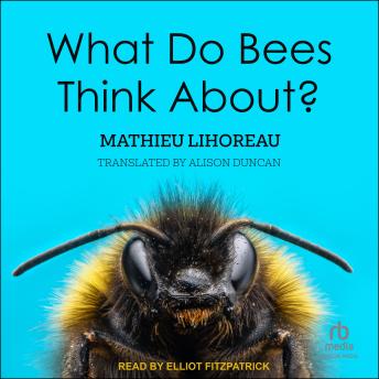 Download What Do Bees Think About? by Mathieu Lihoreau