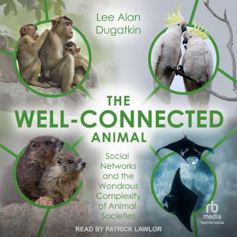 The Well-Connected Animal: Social Networks and the Wondrous Complexity of Animal Societies