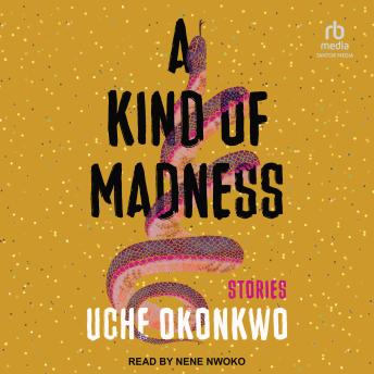 A Kind of Madness: Stories