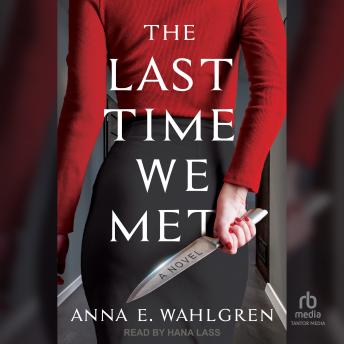 The Last Time We Met: A Novel