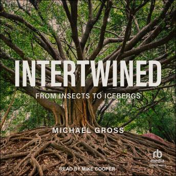 Intertwined: From Insects to Icebergs