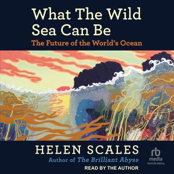 What the Wild Sea Can Be: The Future of the World’s Ocean