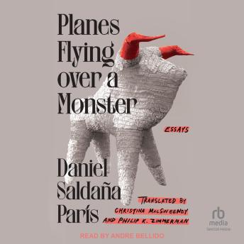 Planes Flying over a Monster: Essays