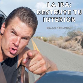 [Spanish] - La ira: Destruye tu interior: Experiencias AA
