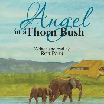 Angel in a Thorn Bush