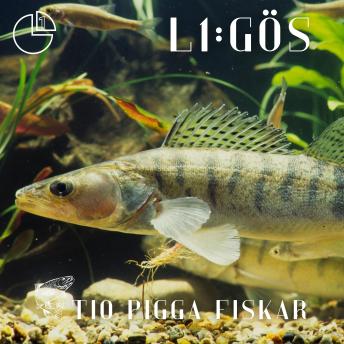 [Swedish] - Gös: Tio pigga fiskar