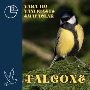 [Swedish] - Talgoxe: Våra tio vanligaste småfåglar