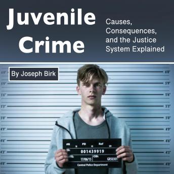 Juvenile Crime: Causes, Consequences, and the Justice System Explained