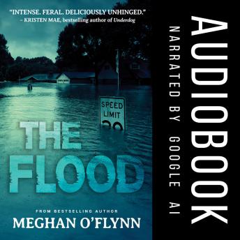 The Flood: A Kidnapping Psychological Crime Thriller Audiobook