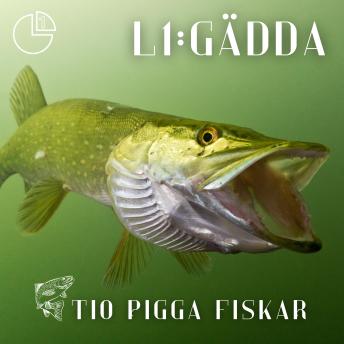 [Swedish] - Gädda: Tio pigga fiskar