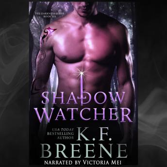 Shadow Watcher: Darkness series book 6