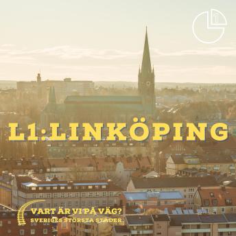 [Swedish] - Linköping: Vart är vi på väg? Sveriges största städer