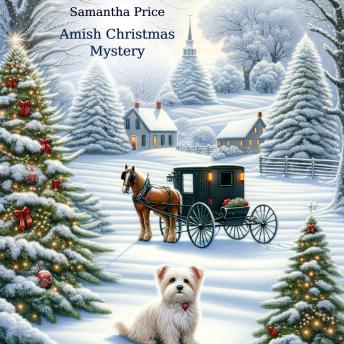 Amish Christmas Mystery: Amish Cozy Mystery