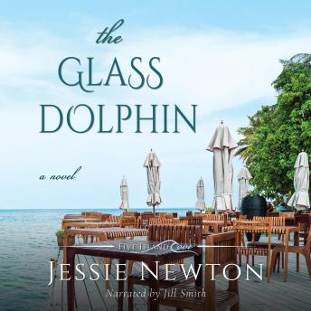 The Glass Dolphin: Romantic Women's Friendship Fiction
