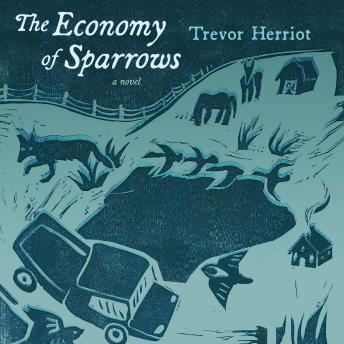 The Economy of Sparrows