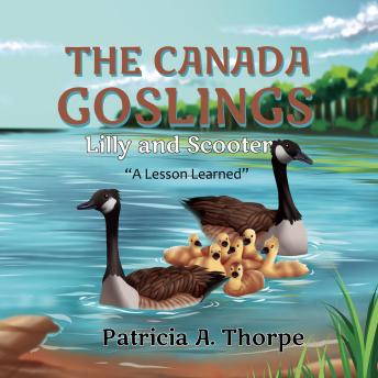 The Canada Goslings: Lilly and Scooter 'A Lesson Learned'