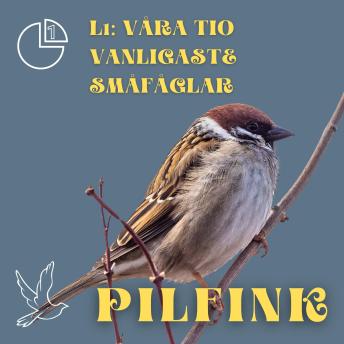 [Swedish] - Pilfink: Våra tio vanligaste småfåglar