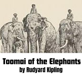 Toomai of the Elephants: Little Toomai learns how to become an elephant driver but even more about himself.