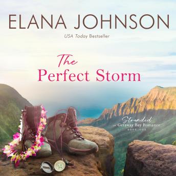 The Perfect Storm: A McLaughlin Sisters Novel