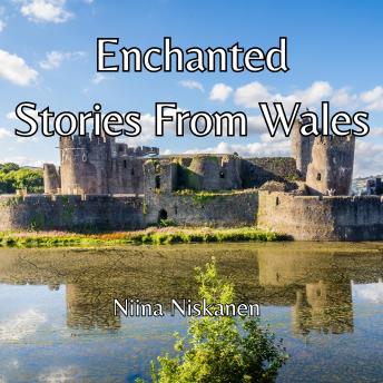 Download Enchanted Stories From Wales by William Elliot Griffis, P.H Emerson