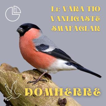 [Swedish] - Domherre: Våra tio vanligaste småfåglar