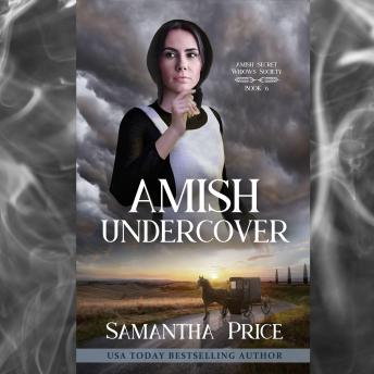 Amish Undercover: Amish Mystery with Romance