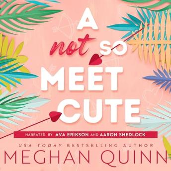Download Not So Meet Cute by Meghan Quinn