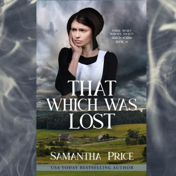 That Which Was Lost: Amish Mystery with Romance