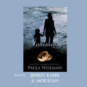 Download Indemnity by Paula Wiseman