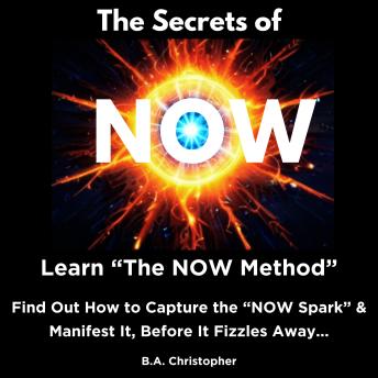 The Secrets of NOW: Learn The NOW Method - Find Out How to Take the Spark of Life, of an Idea, and Capture It Before It Fizzles Away...