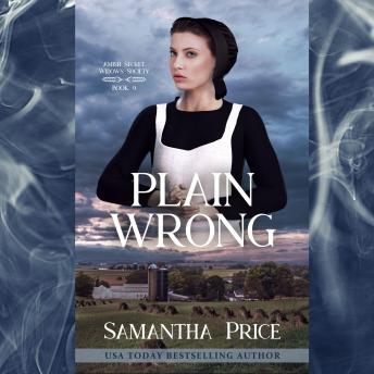 Plain Wrong: Amish Mystery with Romance