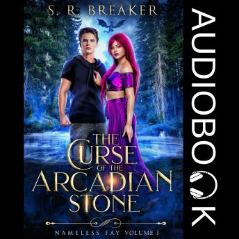The Curse of the Arcadian Stone: Vol. 3 Chosen Path: an epic young adult fantasy