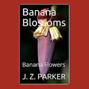 Banana Blossoms: Banana Flowers