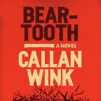 Beartooth: A Novel