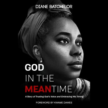 GOD IN THE MEANTIME: A Story of Trusting God's Voice and Embracing His Timing