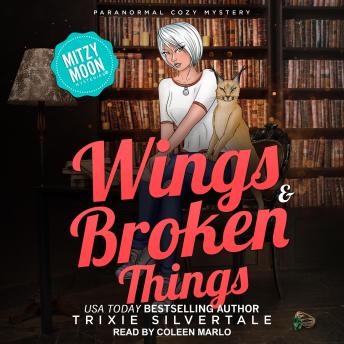 Wings and Broken Things: Paranormal Cozy Mystery
