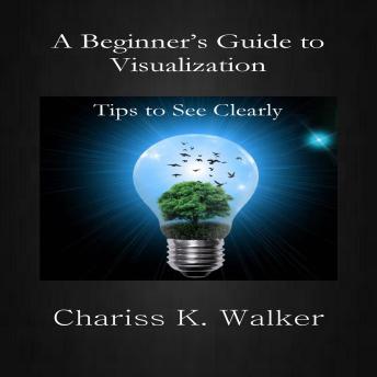 A Beginner's Guide to Visualization:: Tips to See Clearly