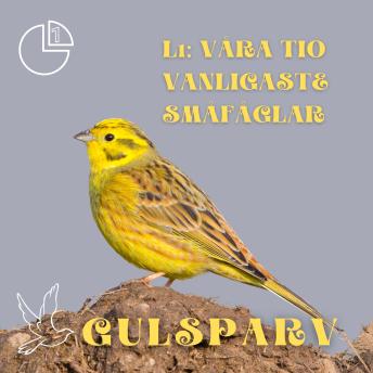 [Swedish] - Gulsparv: Våra tio vanligaste småfåglar
