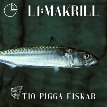 [Swedish] - Makrill: Tio pigga fiskar