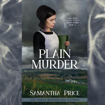 Plain Murder: Amish Mystery with Romance