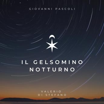 [Italian] - Il gelsomino notturno