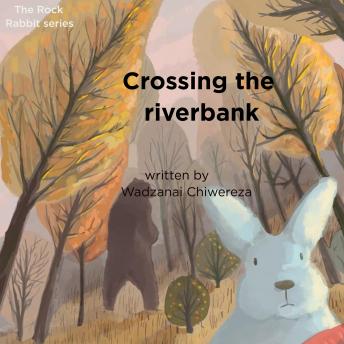 Crossing the river bank: The Rock Rabbit series