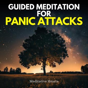 Guided Meditation for Panic Attacks