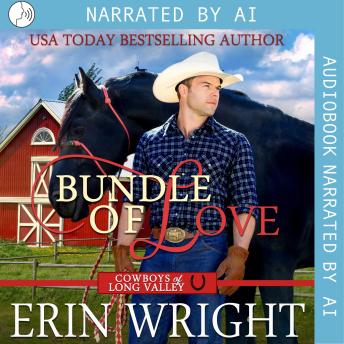 Bundle of Love: An Office Contemporary Western Romance