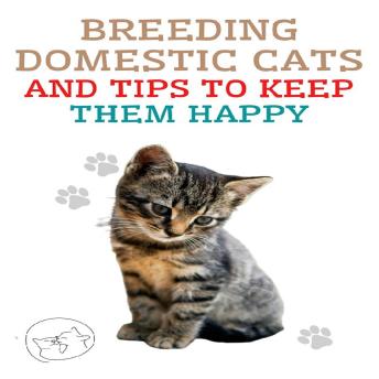 Breeding Domestic Cats and Tips to Keep Them Happy: The best guide for you to understand and love your cat