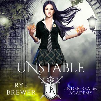 Download Unstable by Rye Brewer