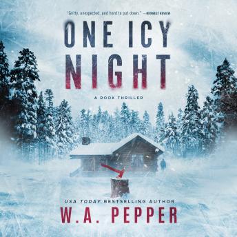 One Icy Night: A Rook Thriller