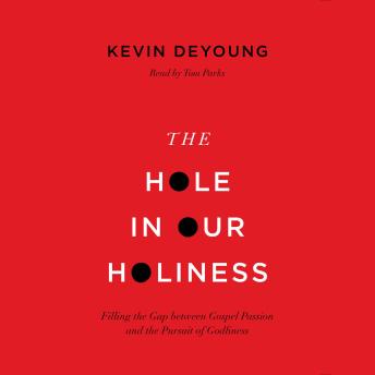 The Hole in Our Holiness: Filling the Gap between Gospel Passion and the Pursuit of Godliness